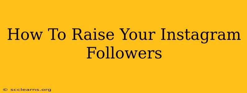 How To Raise Your Instagram Followers