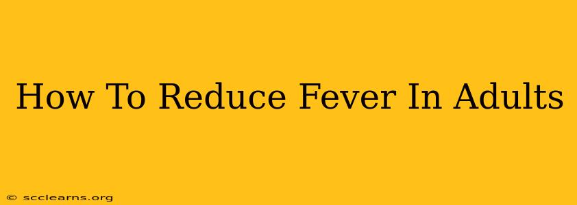 How To Reduce Fever In Adults