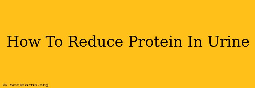 How To Reduce Protein In Urine