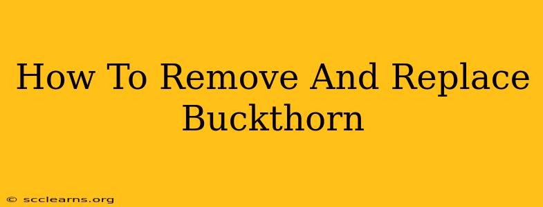 How To Remove And Replace Buckthorn