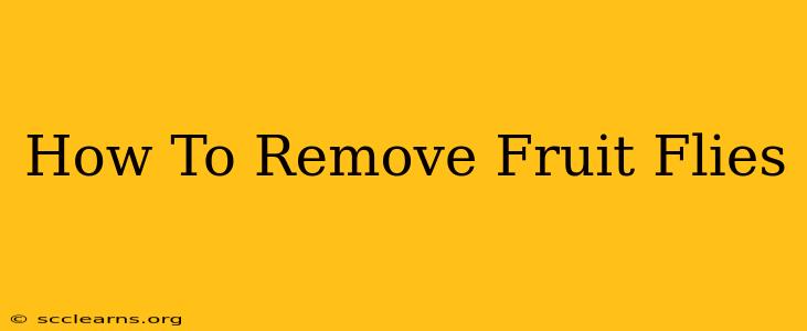 How To Remove Fruit Flies