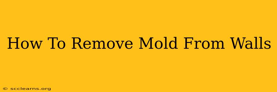 How To Remove Mold From Walls