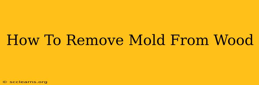 How To Remove Mold From Wood