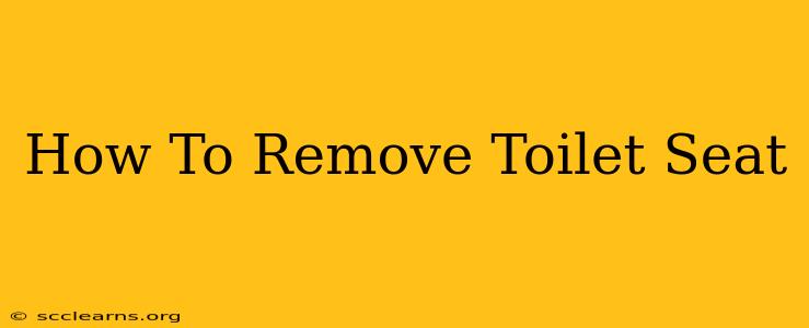 How To Remove Toilet Seat