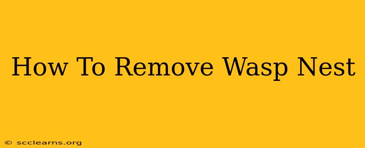 How To Remove Wasp Nest