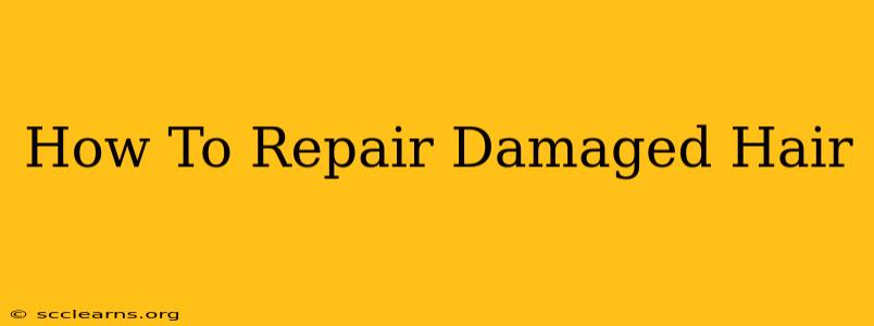 How To Repair Damaged Hair