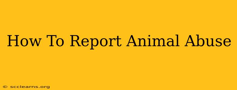 How To Report Animal Abuse