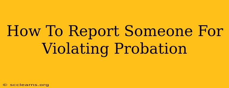 How To Report Someone For Violating Probation