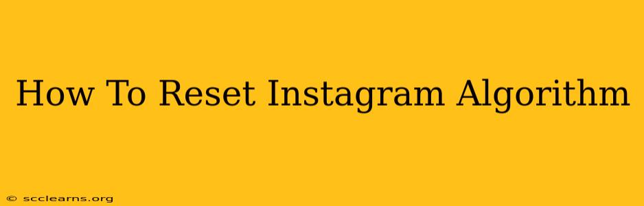 How To Reset Instagram Algorithm