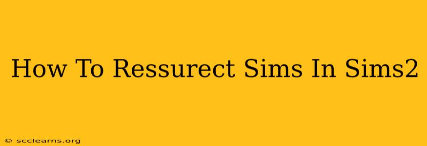 How To Ressurect Sims In Sims2