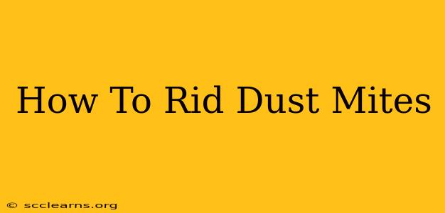 How To Rid Dust Mites