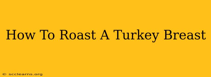 How To Roast A Turkey Breast