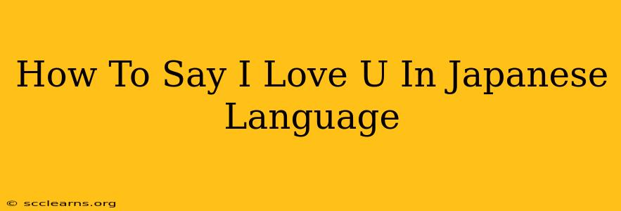 How To Say I Love U In Japanese Language