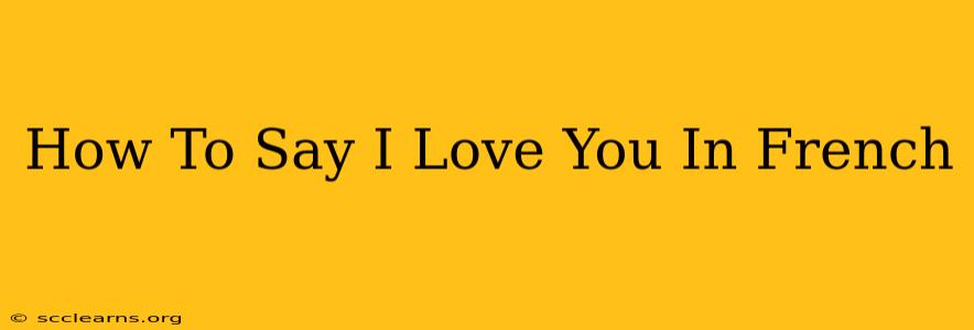 How To Say I Love You In French