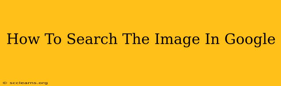 How To Search The Image In Google