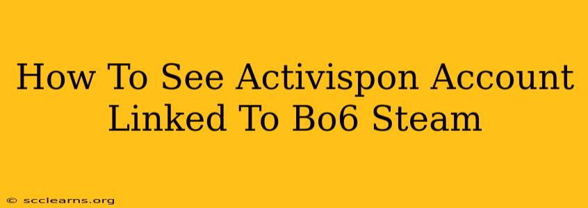 How To See Activispon Account Linked To Bo6 Steam