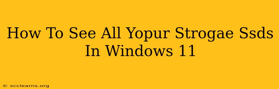 How To See All Yopur Strogae Ssds In Windows 11