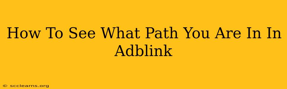 How To See What Path You Are In In Adblink