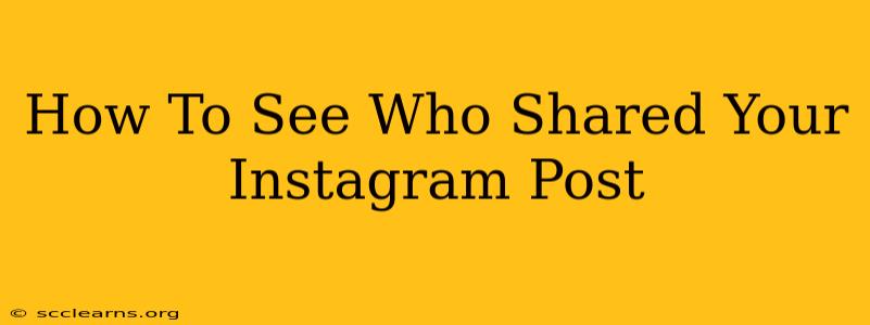 How To See Who Shared Your Instagram Post