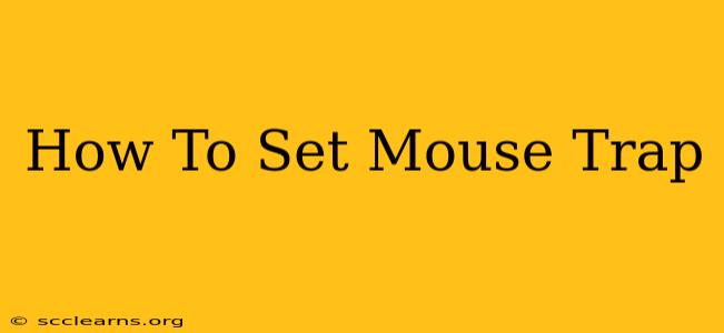 How To Set Mouse Trap