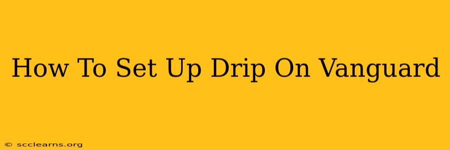 How To Set Up Drip On Vanguard