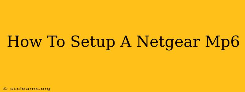 How To Setup A Netgear Mp6