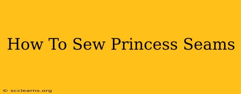 How To Sew Princess Seams