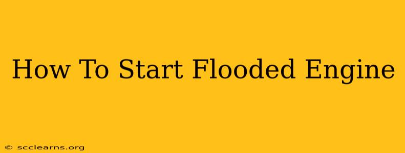 How To Start Flooded Engine