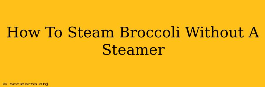 How To Steam Broccoli Without A Steamer