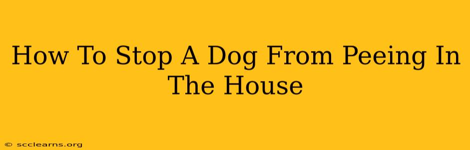 How To Stop A Dog From Peeing In The House