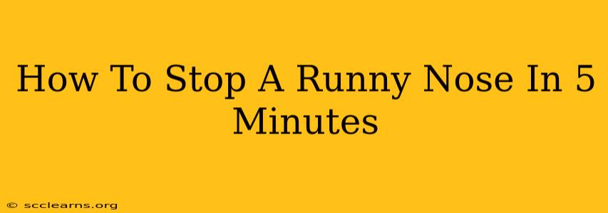 How To Stop A Runny Nose In 5 Minutes