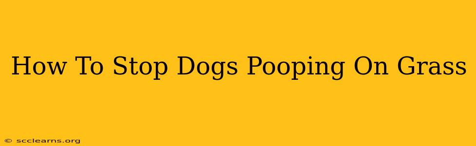 How To Stop Dogs Pooping On Grass