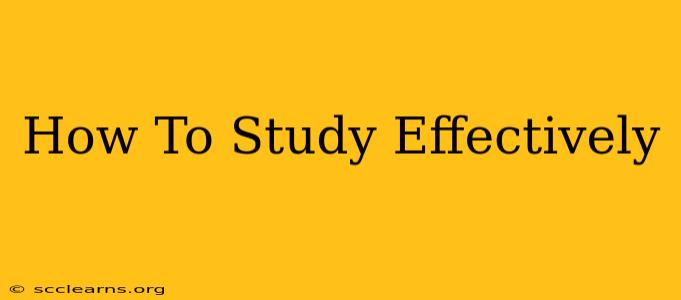 How To Study Effectively