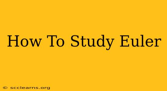 How To Study Euler