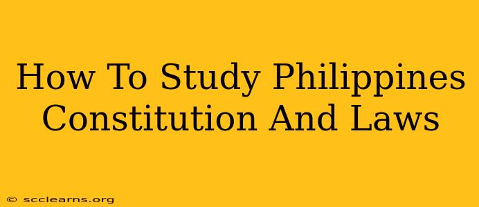 How To Study Philippines Constitution And Laws