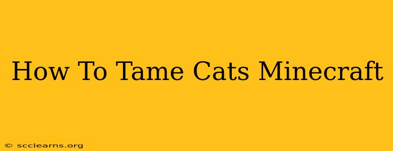 How To Tame Cats Minecraft