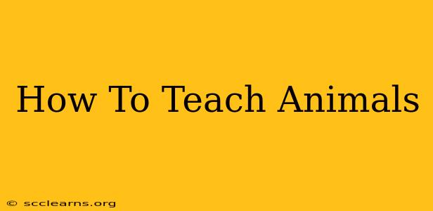 How To Teach Animals