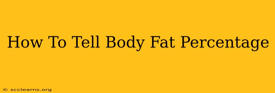 How To Tell Body Fat Percentage