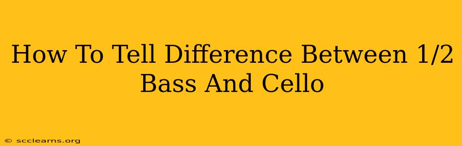 How To Tell Difference Between 1/2 Bass And Cello