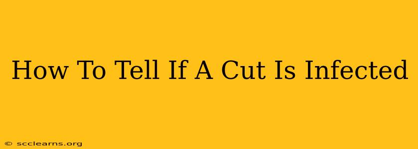 How To Tell If A Cut Is Infected