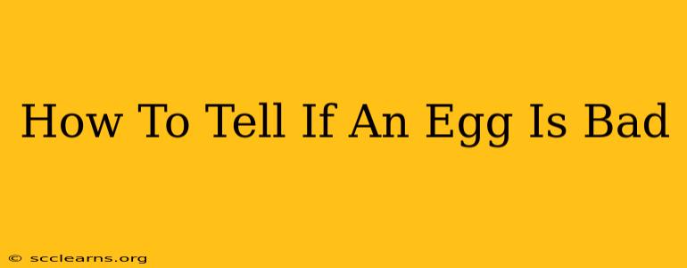 How To Tell If An Egg Is Bad