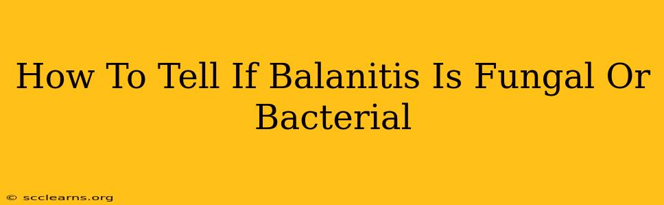 How To Tell If Balanitis Is Fungal Or Bacterial