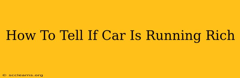 How To Tell If Car Is Running Rich