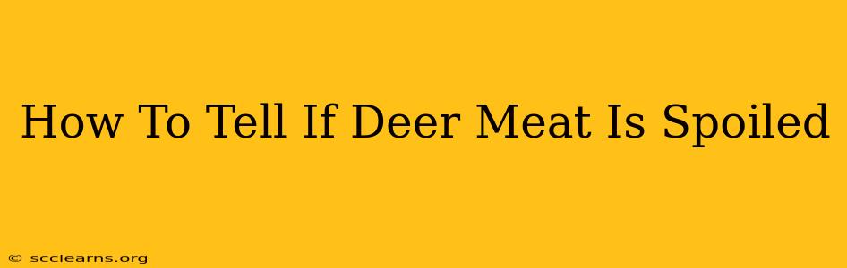 How To Tell If Deer Meat Is Spoiled