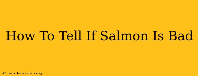 How To Tell If Salmon Is Bad