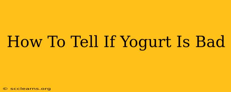 How To Tell If Yogurt Is Bad