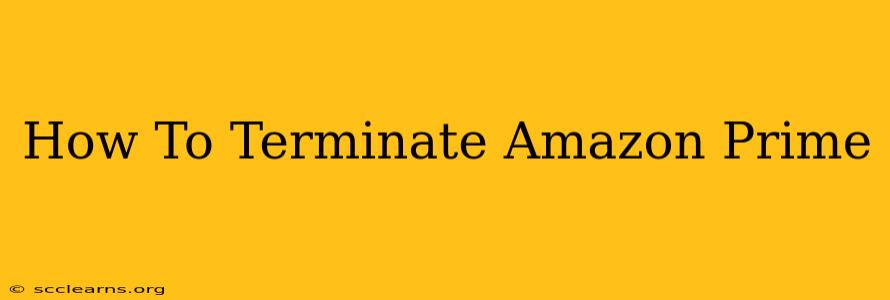 How To Terminate Amazon Prime