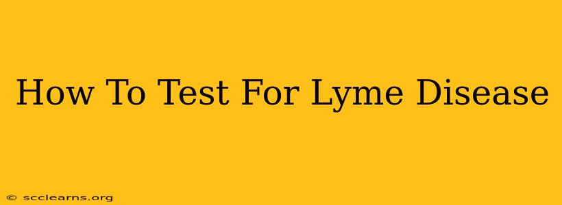 How To Test For Lyme Disease