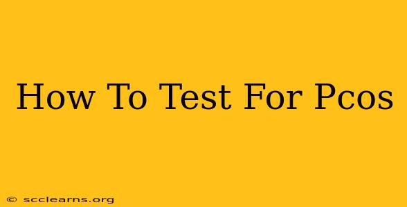 How To Test For Pcos