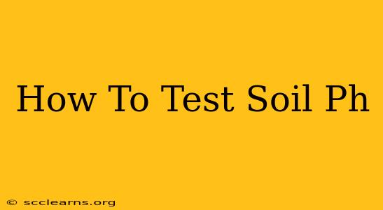 How To Test Soil Ph